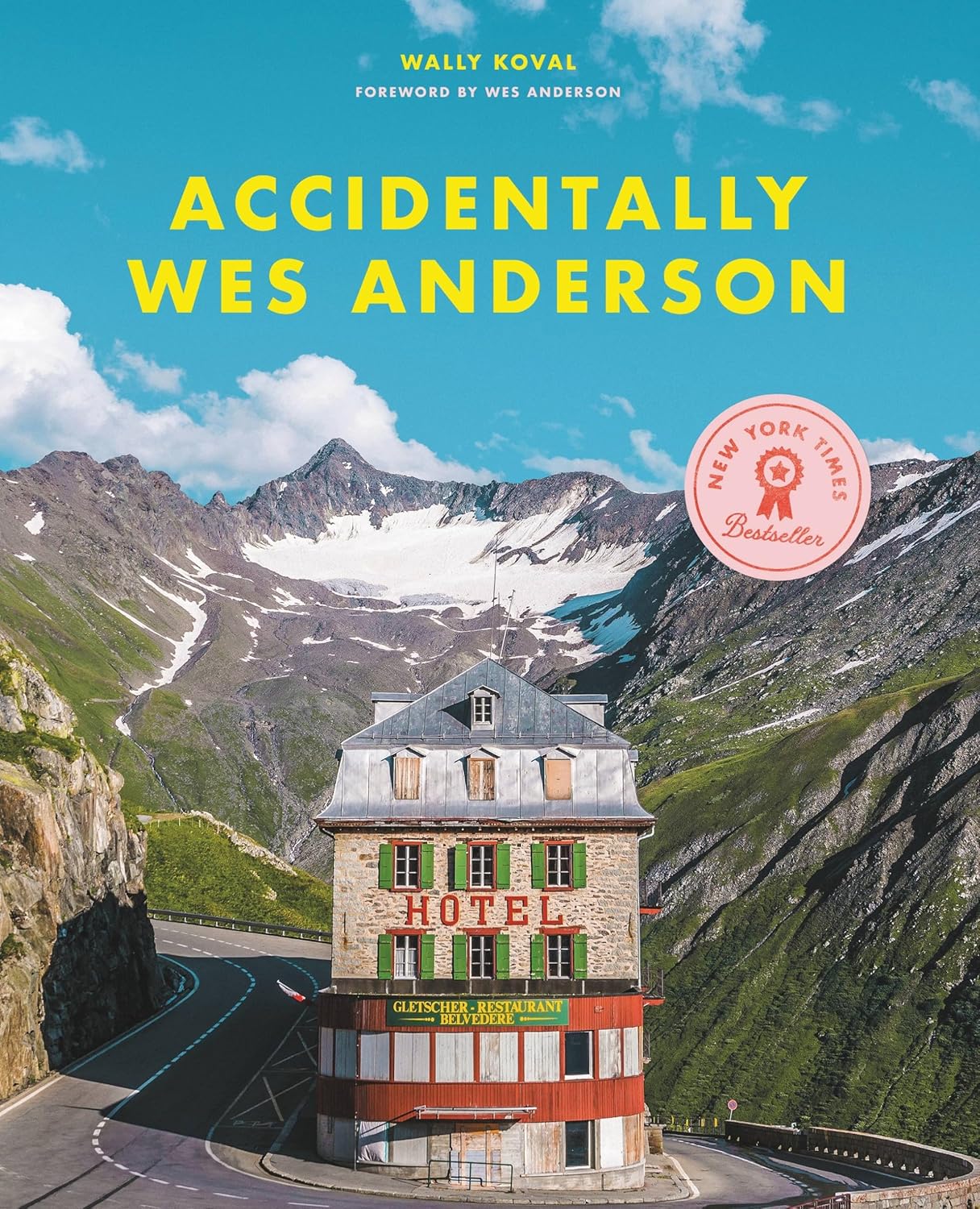 Book Review Accidentally Wes Anderson