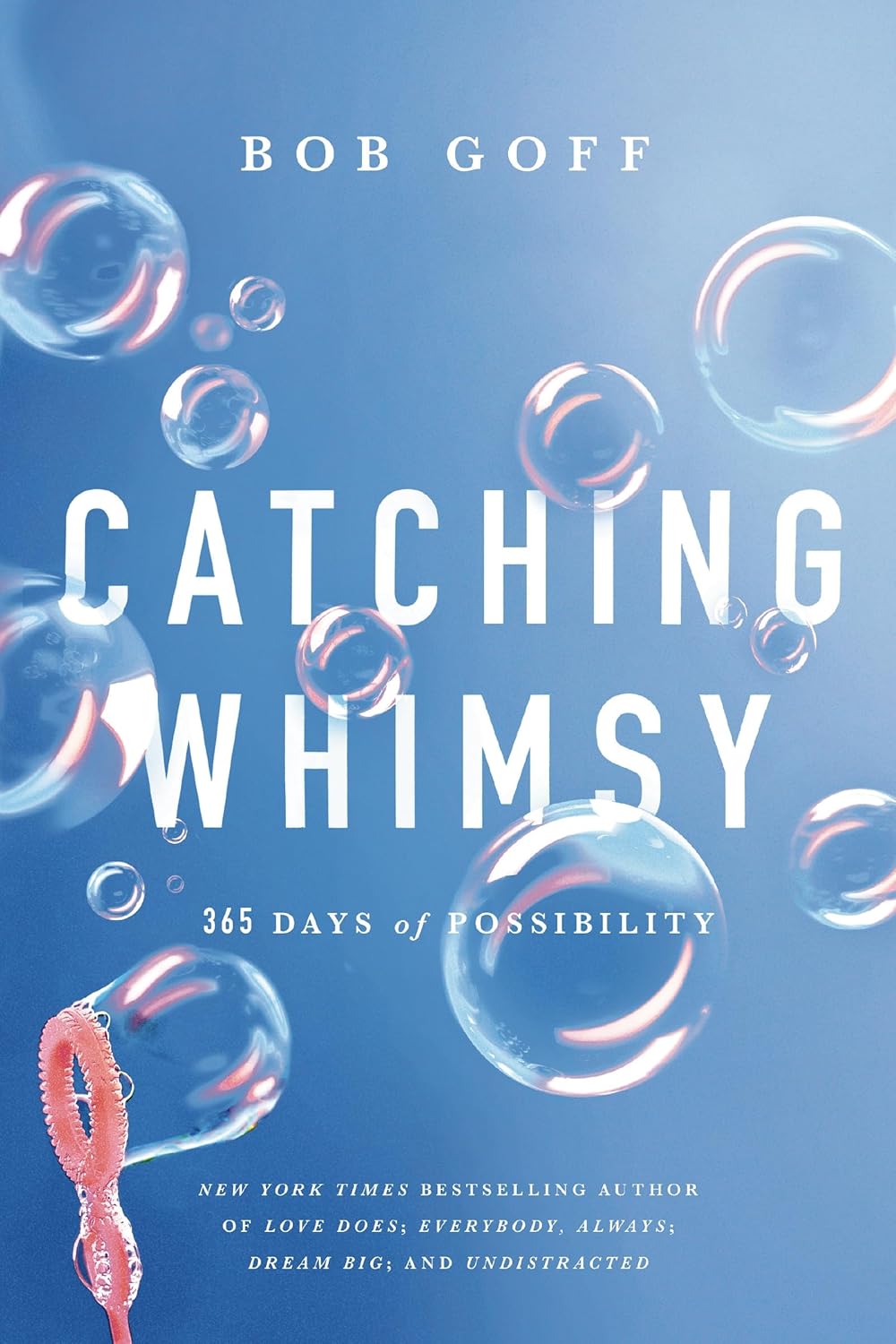 Book Review Catching Whimsy 365 Days of Possibility